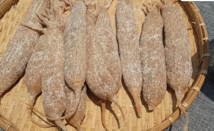 Xa bau la gi 5 cach lam xa bau MNMN cu cai muoi