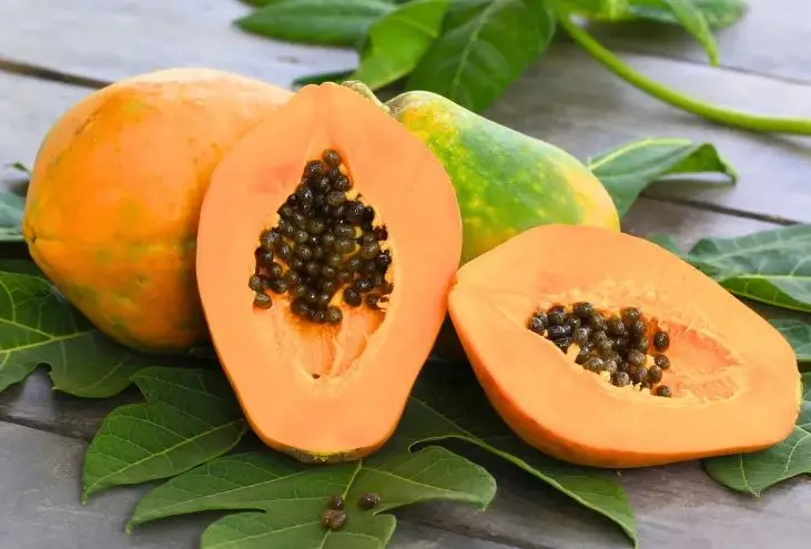 Mẹo đơn giản chọn đu đủ chín cây và đu đủ xanh làm gỏi