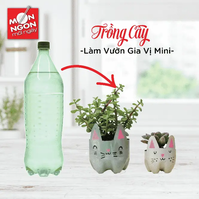 lợi &iacute;ch của chai nhựa đ&atilde; qua sử dụng