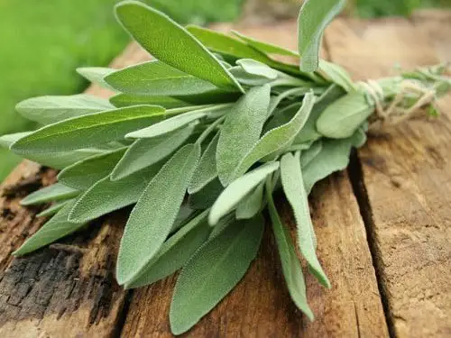 8 loại gia vị tăng dinh dưỡng cho m&oacute;n ăn