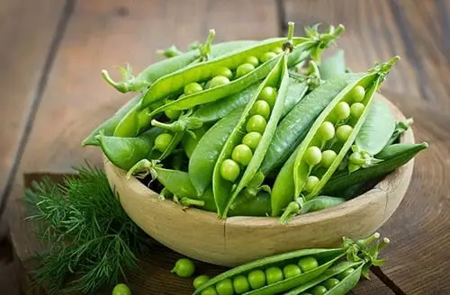 Đậu H&agrave; Lan v&agrave; đậu xanh