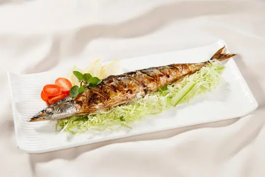 C&aacute; nướng m&ugrave; tạt