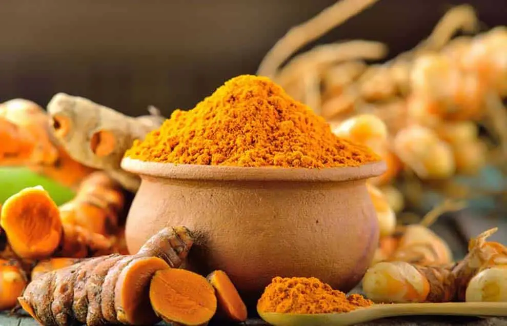 8 sandalwood gram flour and turmeric face pack xjnk