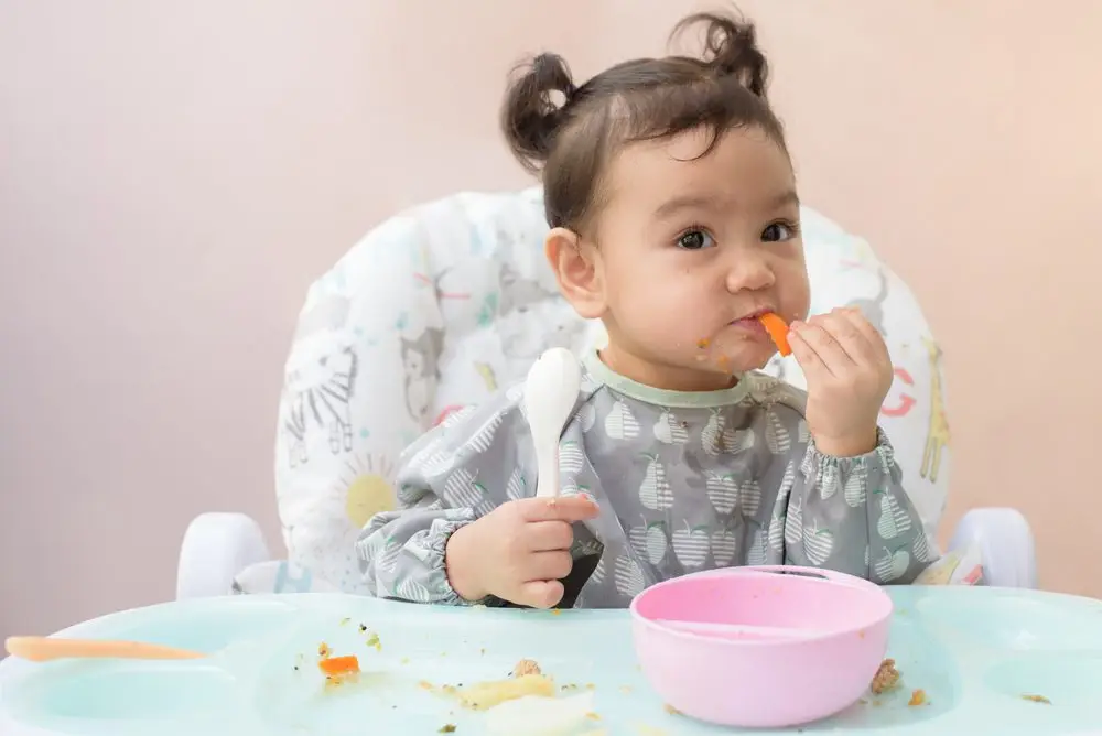 Thực đơn ăn dặm cho bé 9 tháng: 30 món giúp bé ăn ngon, phát triển khỏe mạnh