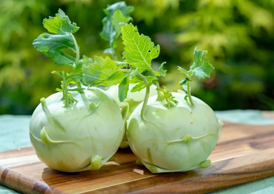 Củ su hào và những lợi ích bất ngờ