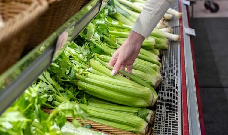 Mẹo đơn giản chọn đúng loại cần tây để ép nước