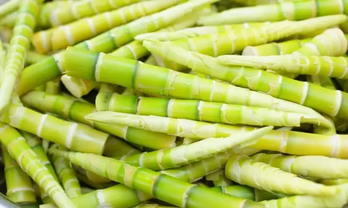 Phân biệt 8 loại măng tươi phổ biến dùng để nấu ăn