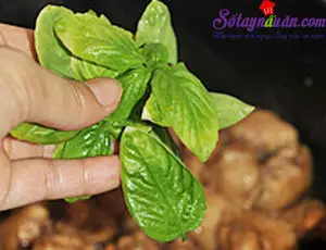 c&aacute;ch l&agrave;m g&agrave; x&agrave;o h&uacute;ng quế 5