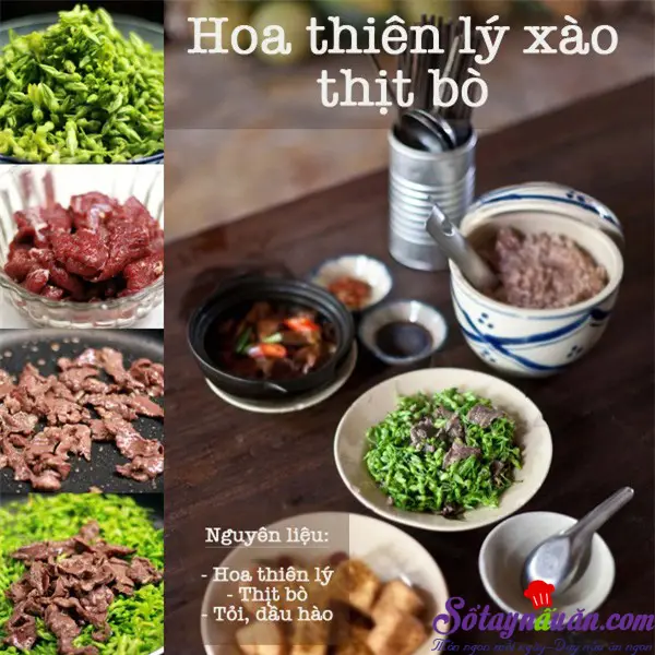 Hoa thi&ecirc;n l&yacute; x&agrave;o thịt b&ograve;