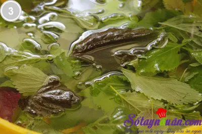 B&uacute;n chả nướng d&acirc;n d&atilde; 3