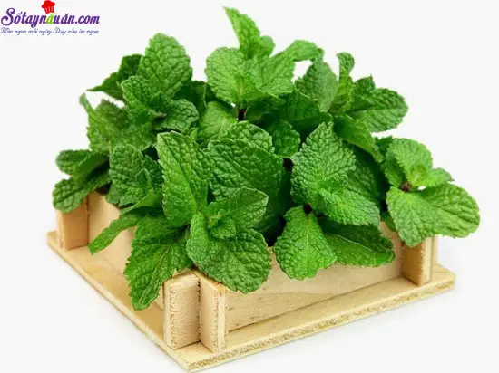 c&aacute;ch l&agrave;m tr&agrave; vải 2