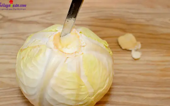 bắp cải cuộn thịt 1